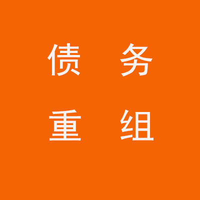 武平个人债务重组优化